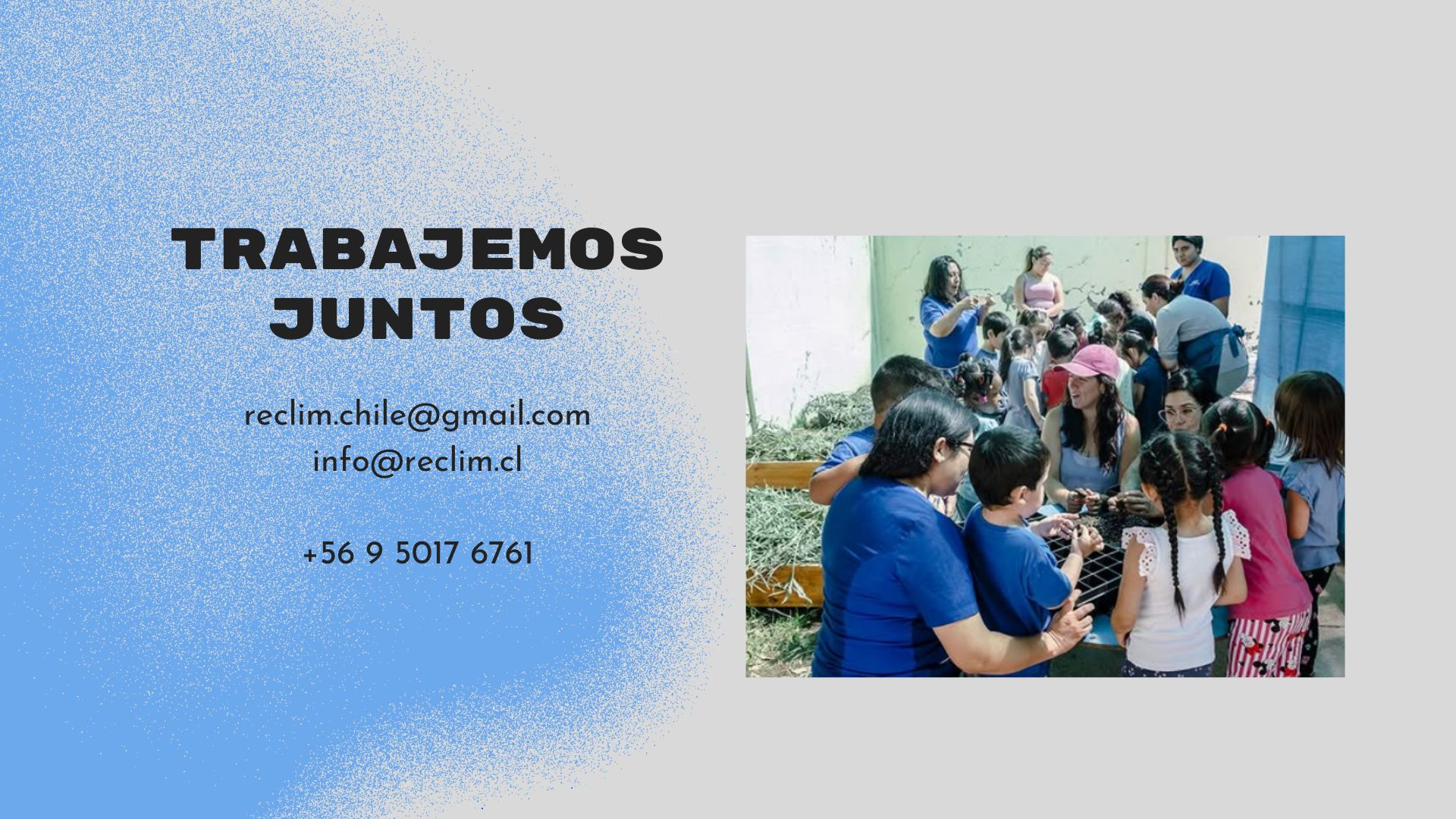 Diapositiva de Educación 16